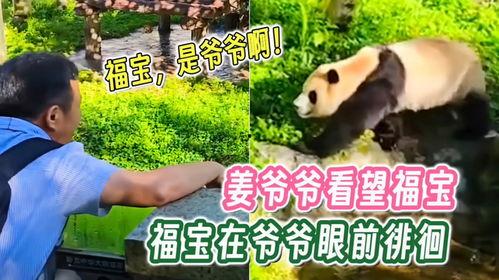 爆料爷爷的视频福宝,揭秘爷爷视频中的神秘传说 第2张 爆料爷爷的视频福宝,揭秘爷爷视频中的神秘传说 第2张